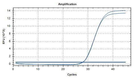 Indoor quality control product for deoxyribonucleic acid of Lactobacillus plantarum-BNCC