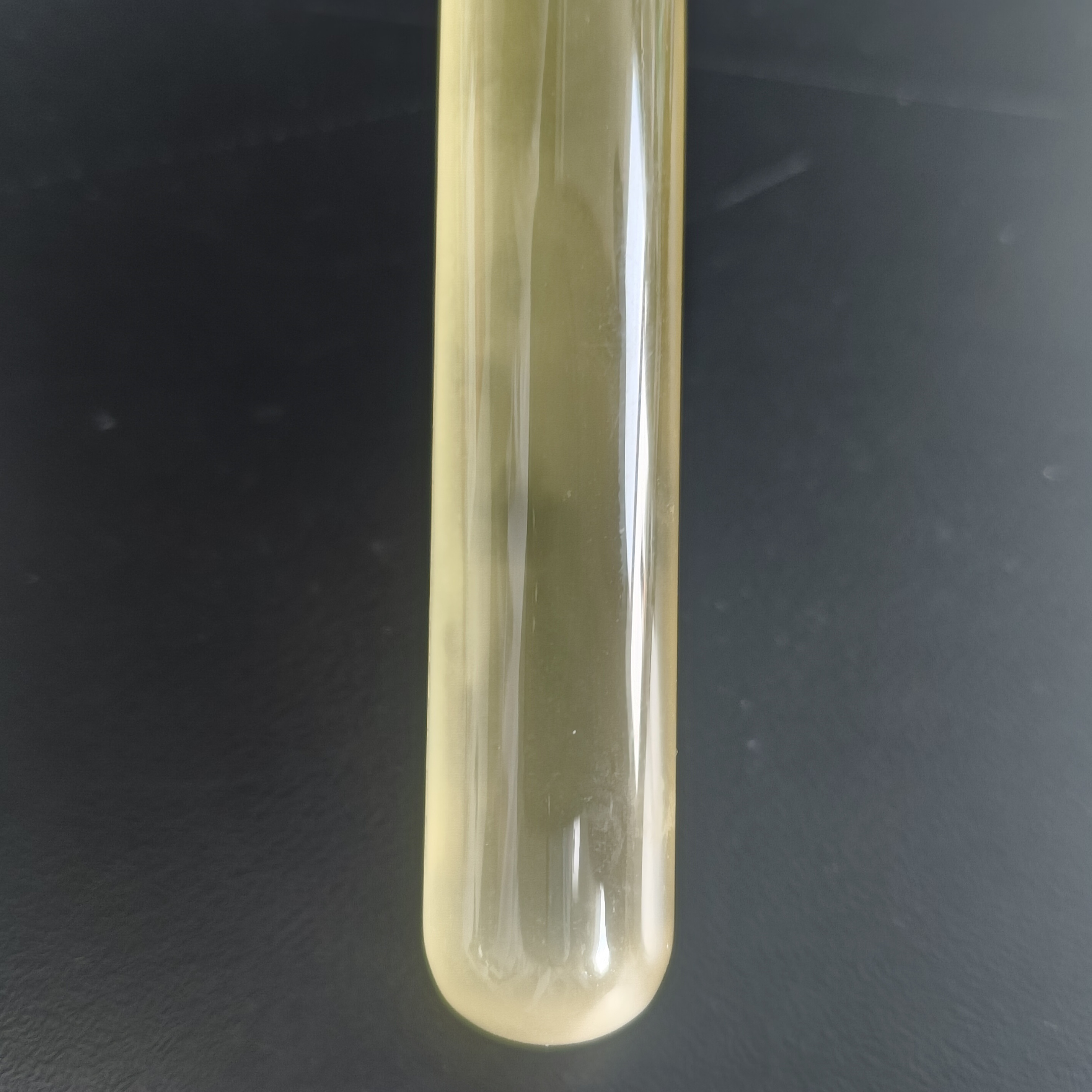 Pseudomonas aeruginosa-BNCC