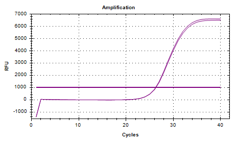 Listeria monocytogenes DNA standard-BNCC