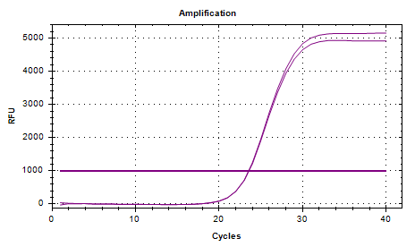 Listeria monocytogenes DNA Standard-BNCC