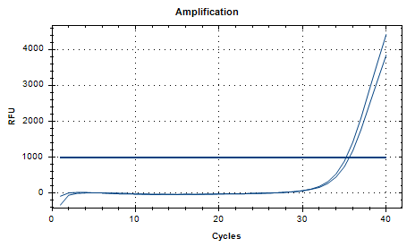 B-type Salmonella paratyphi DNA standard-BNCC