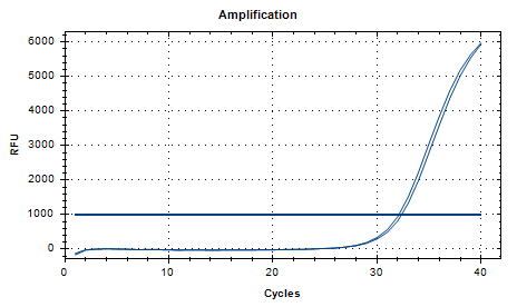 B-type Salmonella paratyphi DNA standard-BNCC