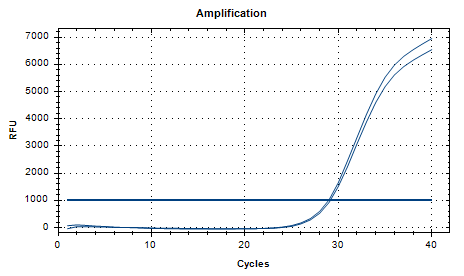B-type Salmonella paratyphi DNA standard-BNCC