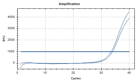 DNA standard of Burkholderia gladioli in Acorus calamus-BNCC
