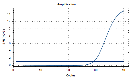 Candida parapsilosis DNA Standard-BNCC