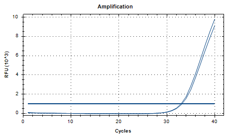 Tropical Candida DNA standard-BNCC
