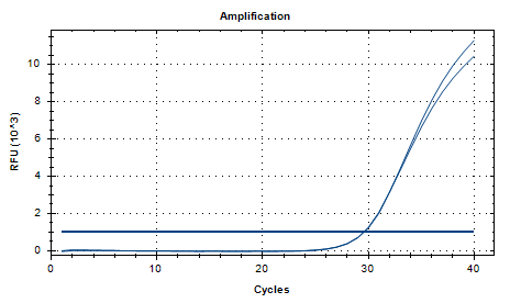 Tropical Candida DNA standard-BNCC