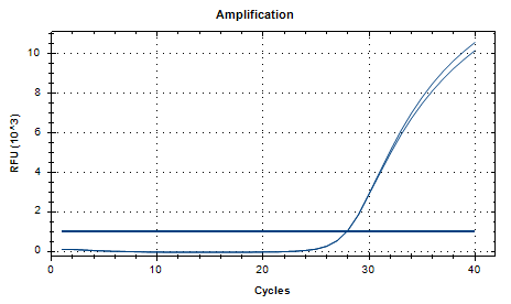 Indoor quality control product for deoxyribonucleic acid liquid of tropical Candida tropicalis-BNCC