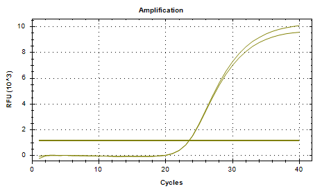 Enterococcus faecalis (VanB) DNA Standard-BNCC