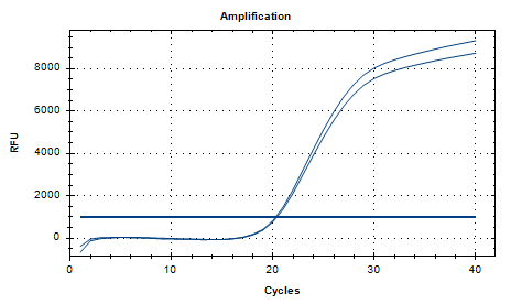 Reference substance for Haemophilus parainfluenzae nucleic acid (Heat-inactivated) (strongly positive)-BNCC
