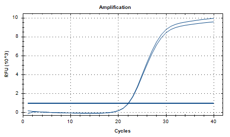 Neisseria meningitidis DNA Liquid Internal Quality Control Material-BNCC