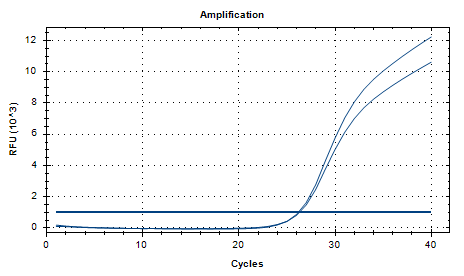 Almond-Derived Nucleic Acid Standard Quality Control Sample-BNCC