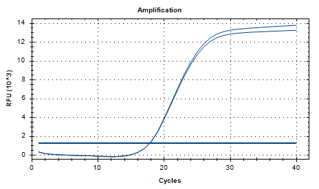 Marine Mycobacterium DNA standard-BNCC