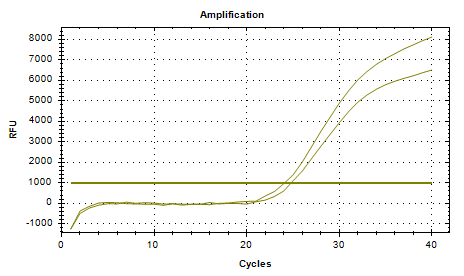 Indoor quality control product of deoxyribonucleic acid liquid of Clostridium perfringens-BNCC