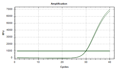 Enterobacter cloacae DNA Standard-BNCC
