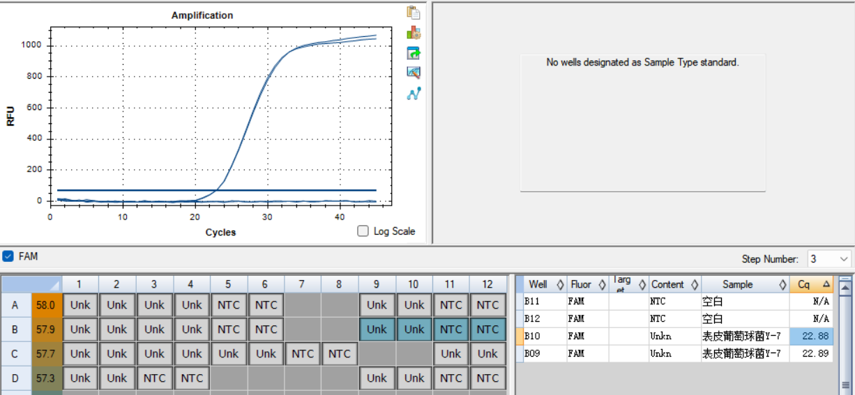 Staphylococcus epidermidis DNA Liquid Internal Quality Control Material-BNCC