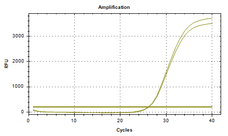 Acinetobacter baumannii DNA standard-BNCC