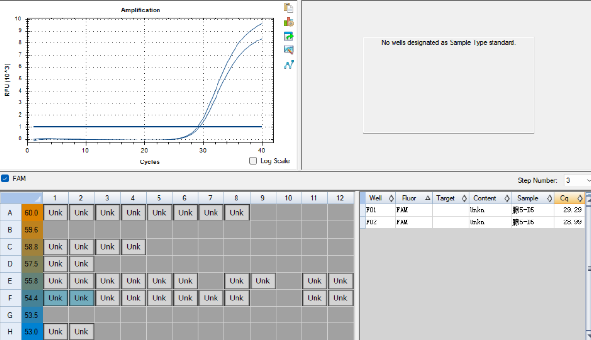 Human adenovirus type 5 DNA standard-BNCC