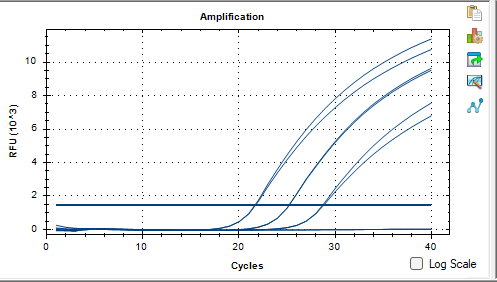 Shigella boydii DNA Standard-BNCC