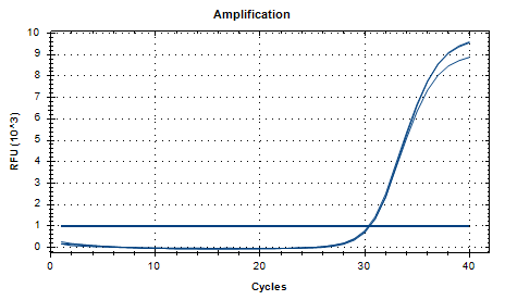 Lactobacillus casei DNA standard-BNCC