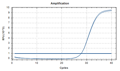 Lactobacillus casei DNA standard-BNCC