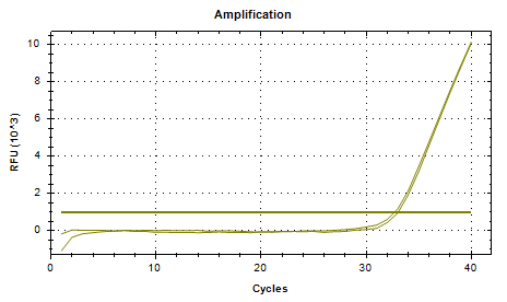 Common Proteus vulgaris DNA standard-BNCC