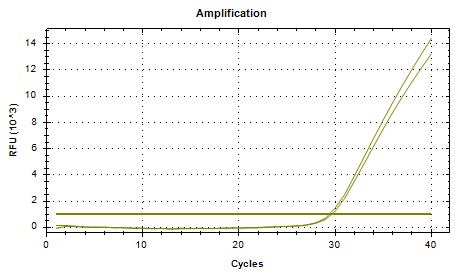 Common Proteus vulgaris DNA standard-BNCC