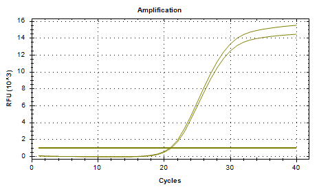 Cryptococcus neoformans DNA Liquid Internal Quality Control Material-BNCC