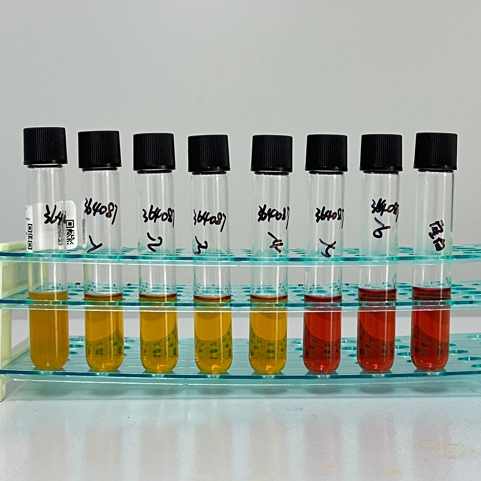 Mycoplasma pneumoniae-BNCC