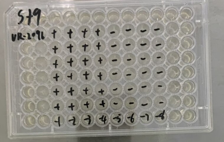 Nucleopolyhedrovirus-BNCC