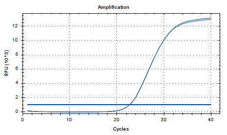 Streptococcus pyogenes nucleic acid reference substance (Heat-inactivated) (strongly positive)-BNCC