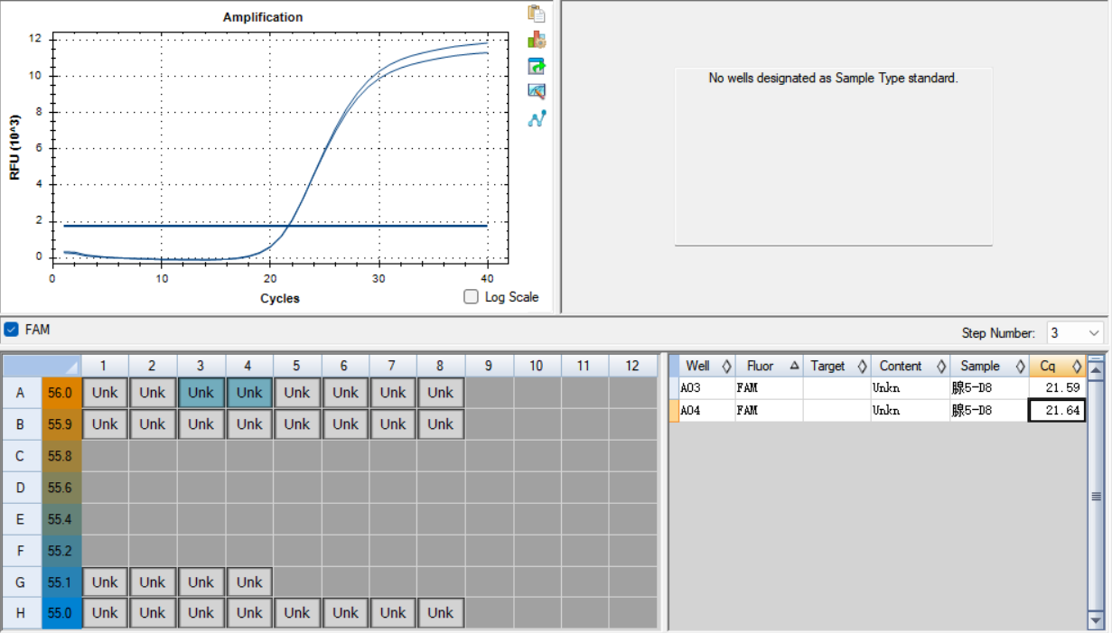 Human adenovirus type 5 DNA standard-BNCC