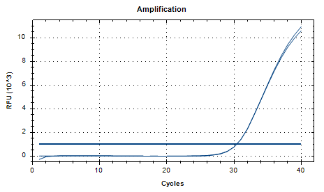 Mycobacterium smegmatis DNA Standard-BNCC