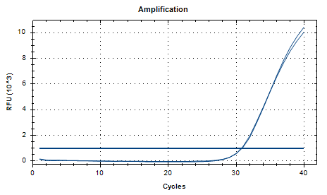 Mycobacterium phlei DNA Standard-BNCC
