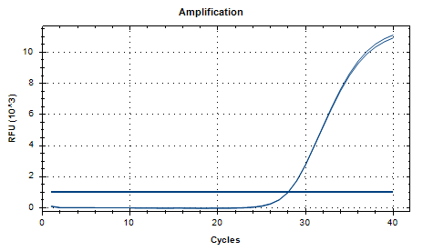 Mycobacterium phlei DNA Standard-BNCC