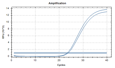 Mycobacterium phlei DNA Standard-BNCC
