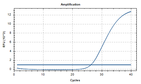 Mycobacterium phlei DNA Liquid Internal Quality Control Material-BNCC