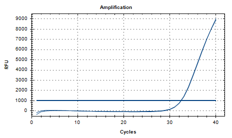 Mycobacterium szulgai DNA Standard-BNCC