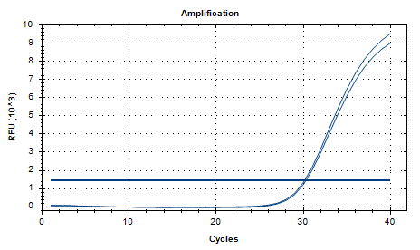 Mycobacterium szulgai DNA Standard-BNCC