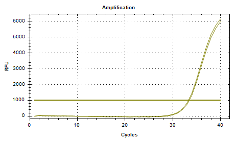 Klebsiella aerogenes DNA Standard-BNCC