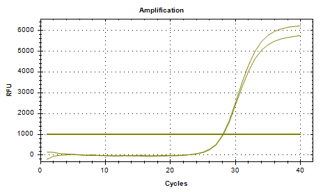 Gas producing Klebsiella DNA standard-BNCC