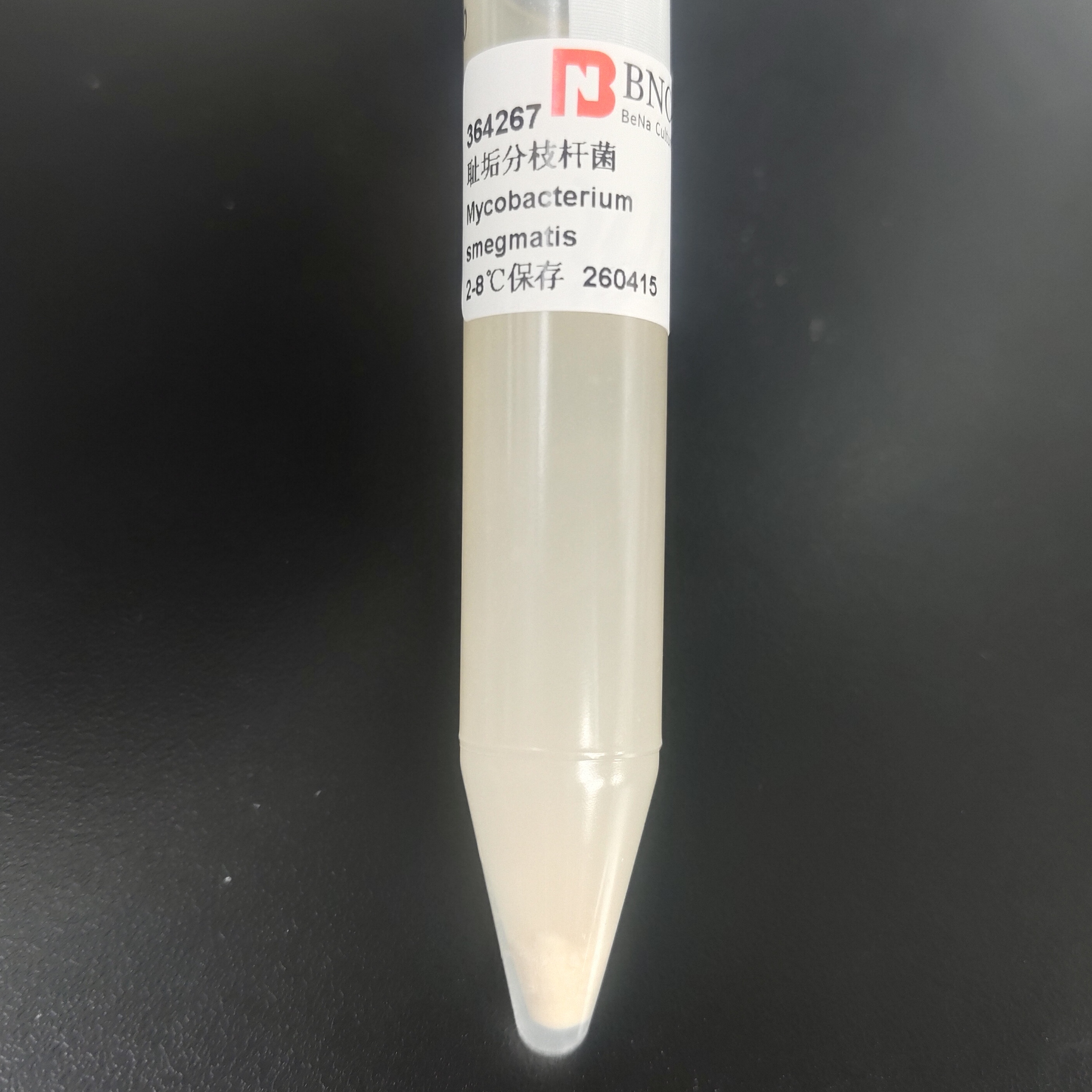 Mycobacterium smegmatis-BNCC