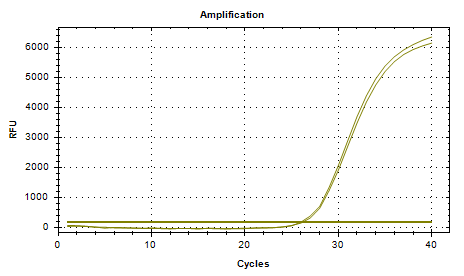 Indoor quality control product for Staphylococcus epidermidis deoxyribonucleic acid liquid-BNCC