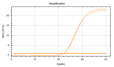 Escherichia coli DNA Standard-BNCC