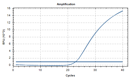 Reference substance for avian mycobacterial nucleic acid (Heat-inactivated) (strongly positive)-BNCC