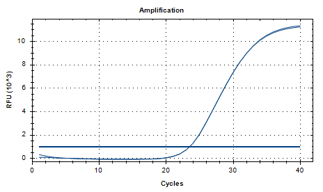Kansas Mycobacterium Nucleic Acid Reference (Heat-inactivated) (Strong Positive)-BNCC