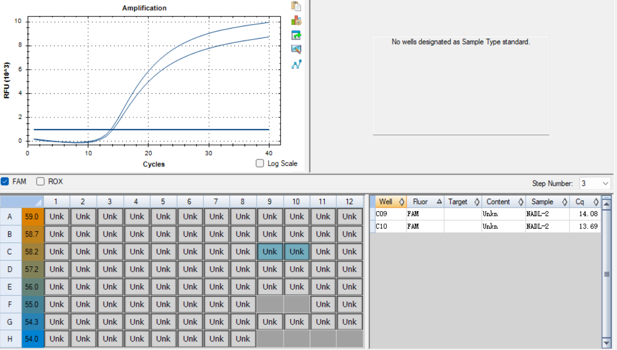Reference material for porcine parvovirus NADL-2 nucleic acid (Heat-inactivated) (strongly positive)-BNCC