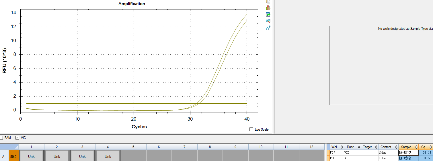 Malassezia furfur DNA lab quality control-BNCC