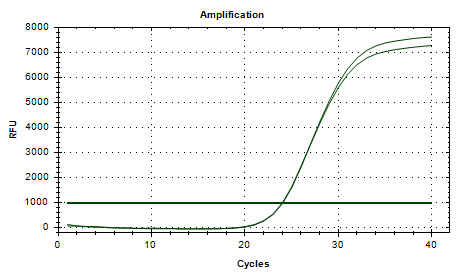 Mycobacterium chelonae DNA Liquid Internal Quality Control Material-BNCC