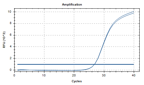 Mycobacterium fortuitum DNA Liquid Internal Quality Control Material-BNCC